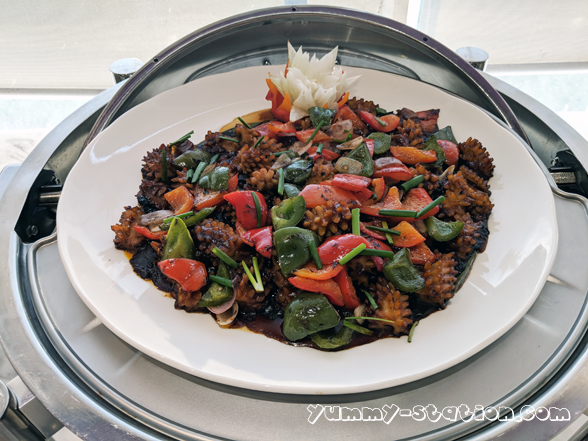 Maker:0x4c,Date:2017-10-9,Ver:4,Lens:Kan03,Act:Lar01,E-Y