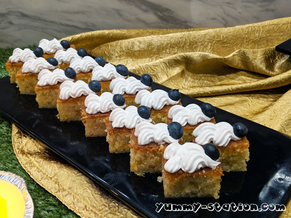 Maker:0x4c,Date:2017-10-9,Ver:4,Lens:Kan03,Act:Lar01,E-Y